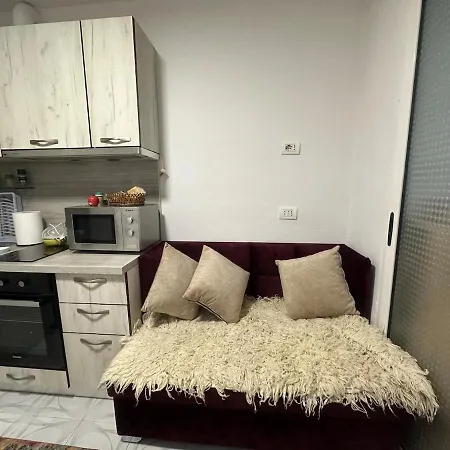 Vibrant Haven Tirana